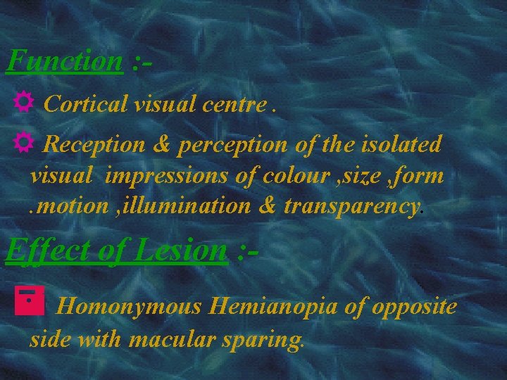 Function : Cortical visual centre. Reception & perception of the isolated visual impressions of