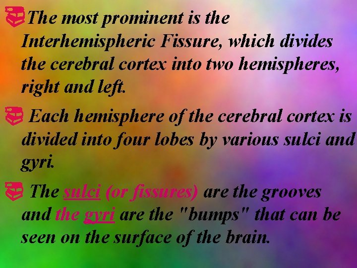  The most prominent is the Interhemispheric Fissure, which divides the cerebral cortex into