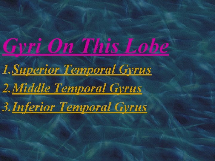 Gyri On This Lobe 1. Superior Temporal Gyrus 2. Middle Temporal Gyrus 3. Inferior
