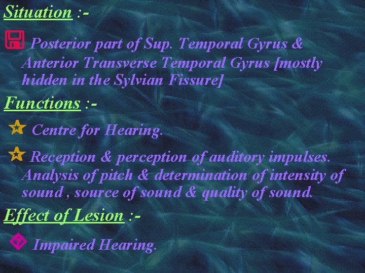 Situation : - Posterior part of Sup. Temporal Gyrus & Anterior Transverse Temporal Gyrus