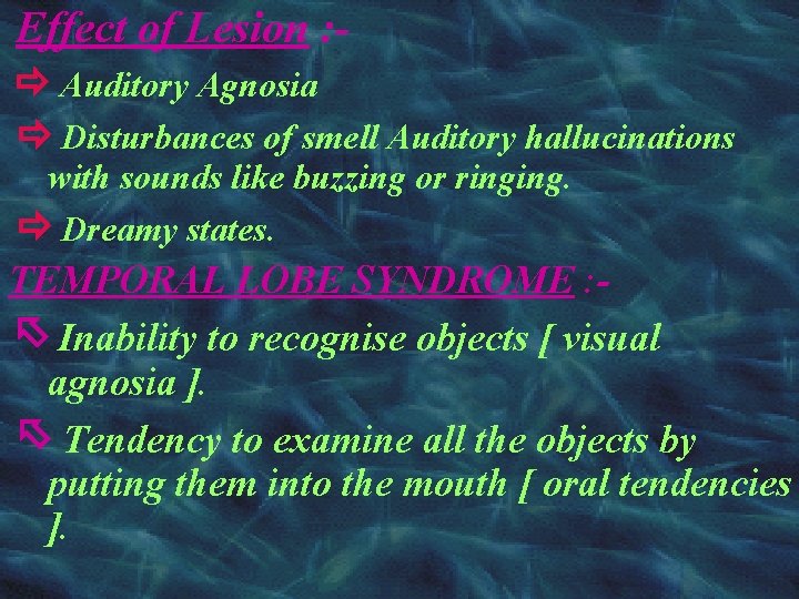 Effect of Lesion : Auditory Agnosia Disturbances of smell Auditory hallucinations with sounds like