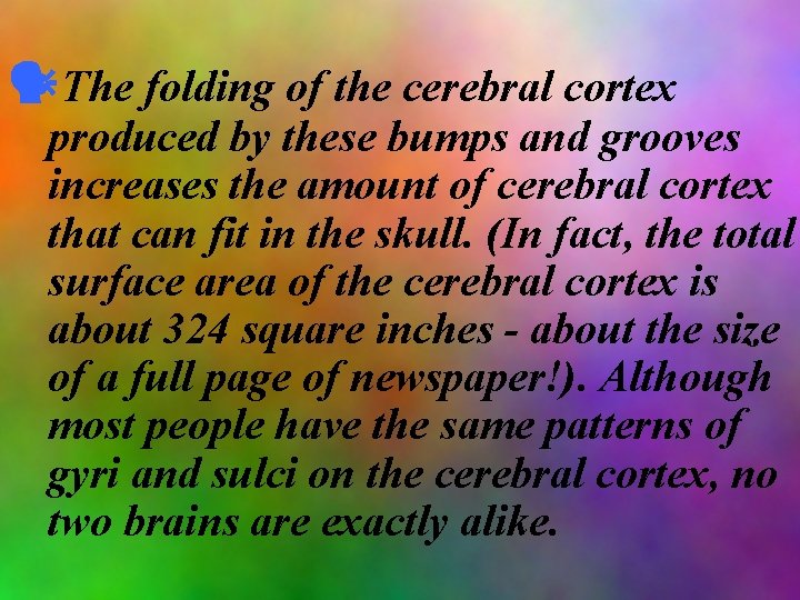  The folding of the cerebral cortex produced by these bumps and grooves increases