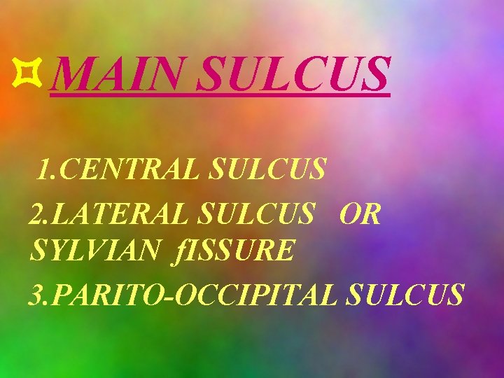  MAIN SULCUS 1. CENTRAL SULCUS 2. LATERAL SULCUS OR SYLVIAN f. ISSURE 3.