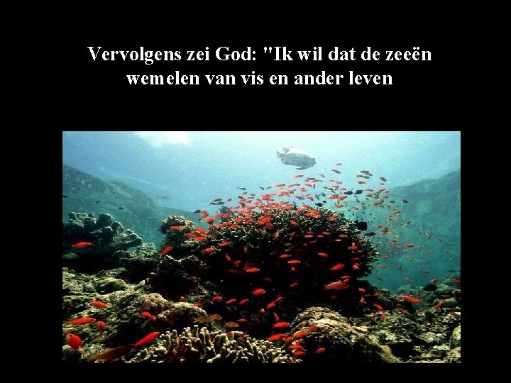 Vervolgens zei God: "Ik wil dat de zeeën wemelen van vis en ander leven