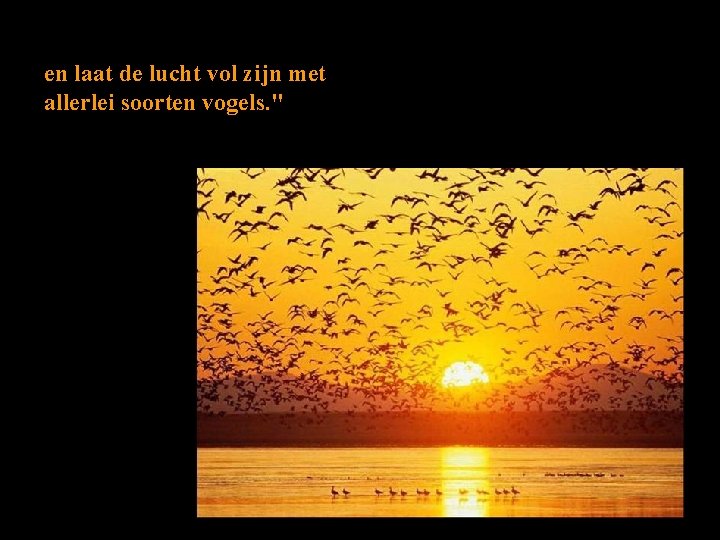 en laat de lucht vol zijn met allerlei soorten vogels. " 