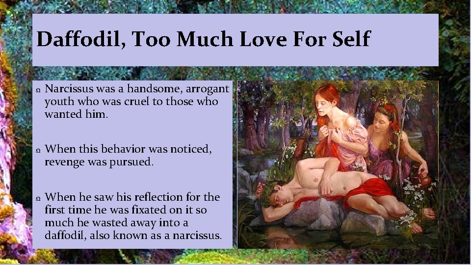 Daffodil, Too Much Love For Self Ω Ω Ω Narcissus was a handsome, arrogant