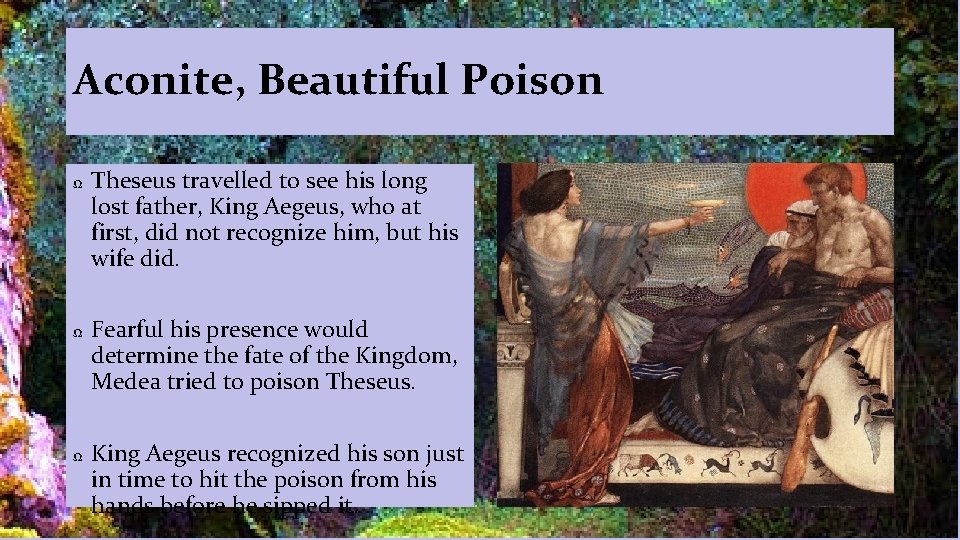 Aconite, Beautiful Poison Ω Ω Ω Theseus travelled to see his long lost father,