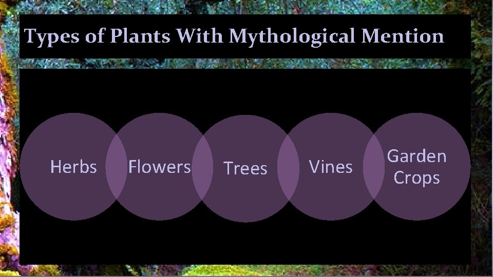 Types of Plants With Mythological Mention Herbs Flowers Trees Vines Garden Crops 
