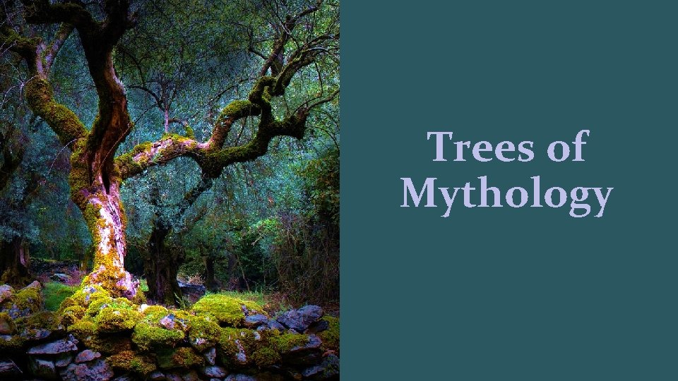 Trees of Mythology 