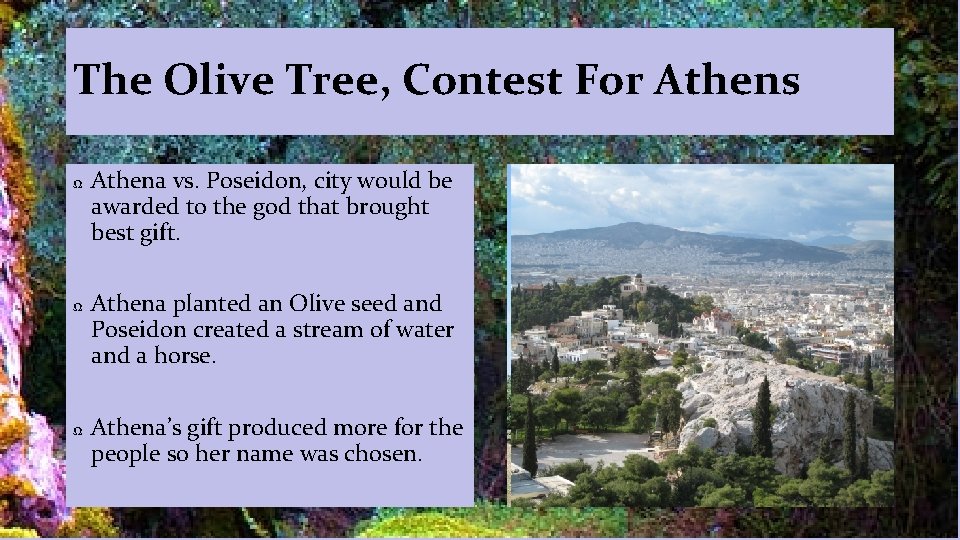 The Olive Tree, Contest For Athens Ω Ω Ω Athena vs. Poseidon, city would