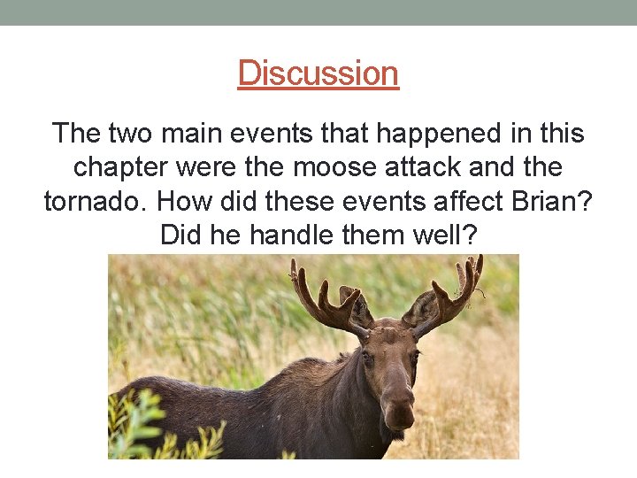 Discussion The two main events that happened in this chapter were the moose attack