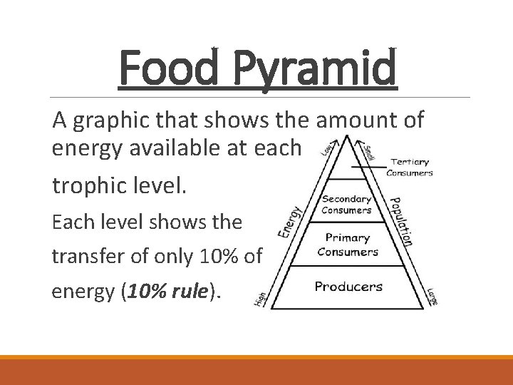 Food Pyramid A graphic that shows the amount of energy available at each trophic