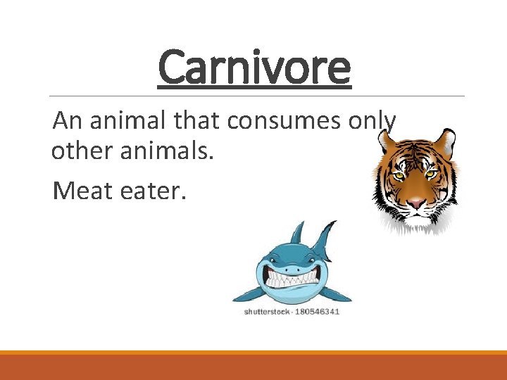 Carnivore An animal that consumes only other animals. Meat eater. 