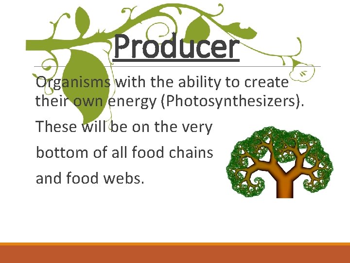 Producer Organisms with the ability to create their own energy (Photosynthesizers). These will be