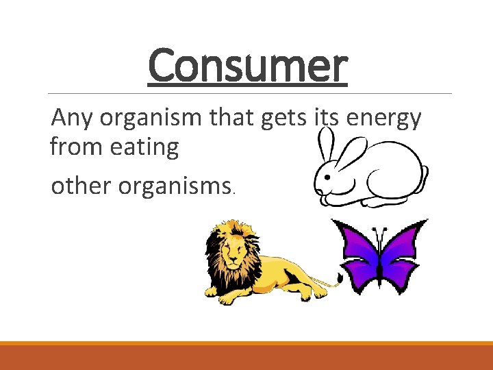 Consumer Any organism that gets its energy from eating other organisms. 