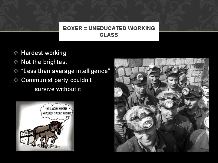 BOXER = UNEDUCATED WORKING CLASS v v Hardest working Not the brightest “Less than