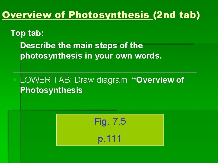 Overview of Photosynthesis (2 nd tab) Top tab: Describe the main steps of the