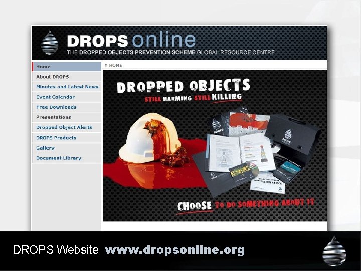 DROPS Website www. dropsonline. org 