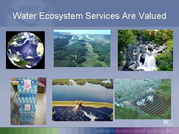 Water Ecosystem Services Are Valued 