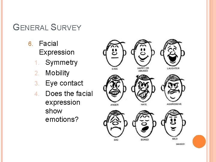 GENERAL SURVEY 6. Facial Expression 1. Symmetry 2. Mobility 3. Eye contact 4. Does