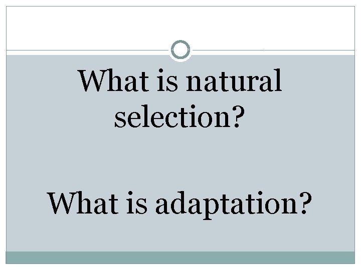 What is natural selection? What is adaptation? 