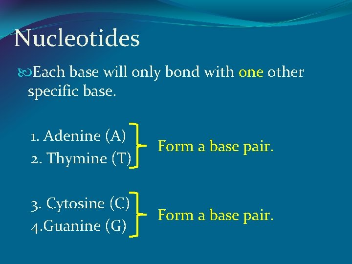 Nucleotides Each base will only bond with one other specific base. 1. Adenine (A)