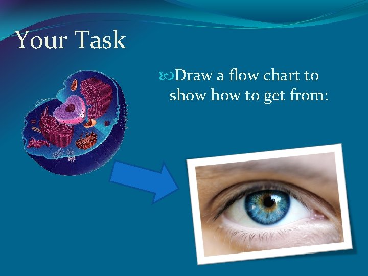 Your Task Draw a flow chart to show to get from: 