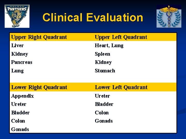 Clinical Evaluation Upper Right Quadrant Liver Kidney Pancreas Lung Upper Left Quadrant Heart, Lung