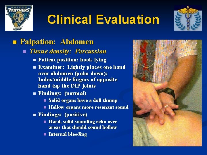 Clinical Evaluation n Palpation: Abdomen n Tissue density: Percussion n Patient position: hook-lying Examiner: