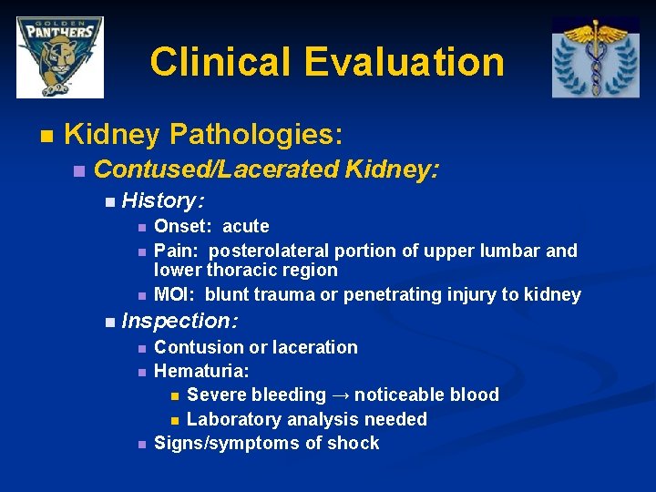 Clinical Evaluation n Kidney Pathologies: n Contused/Lacerated Kidney: n History: n n n Onset: