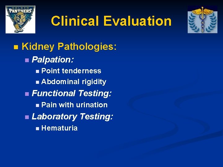 Clinical Evaluation n Kidney Pathologies: n Palpation: n Point tenderness n Abdominal rigidity n