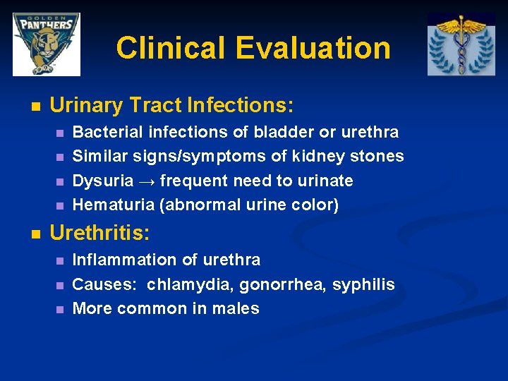Clinical Evaluation n Urinary Tract Infections: n n n Bacterial infections of bladder or