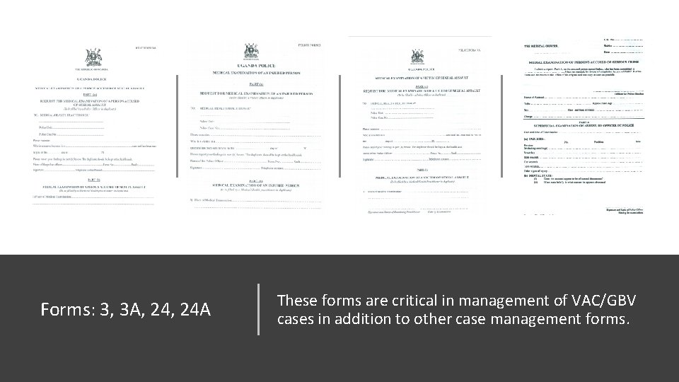 Forms: 3, 3 A, 24 A These forms are critical in management of VAC/GBV