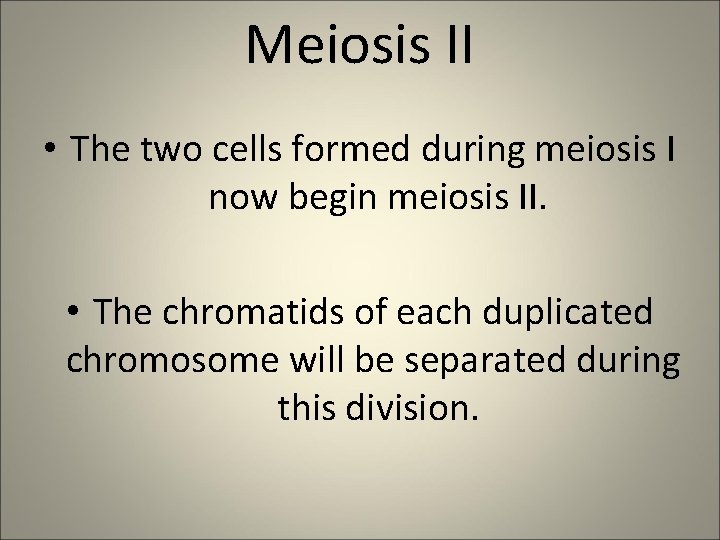 Meiosis II • The two cells formed during meiosis I now begin meiosis II.