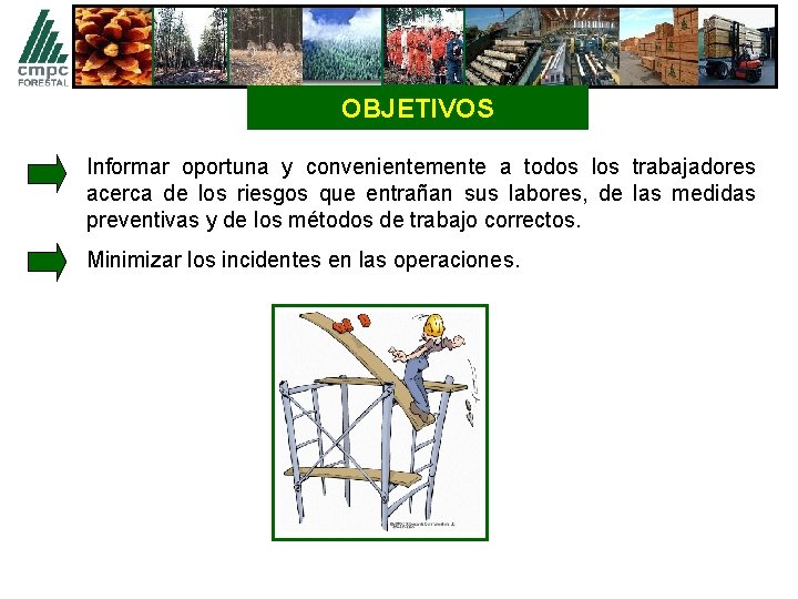 OBJETIVOS Informar oportuna y convenientemente a todos los trabajadores acerca de los riesgos que