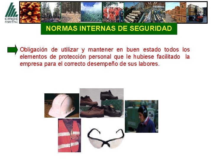 NORMAS INTERNAS DE SEGURIDAD Obligación de utilizar y mantener en buen estado todos los