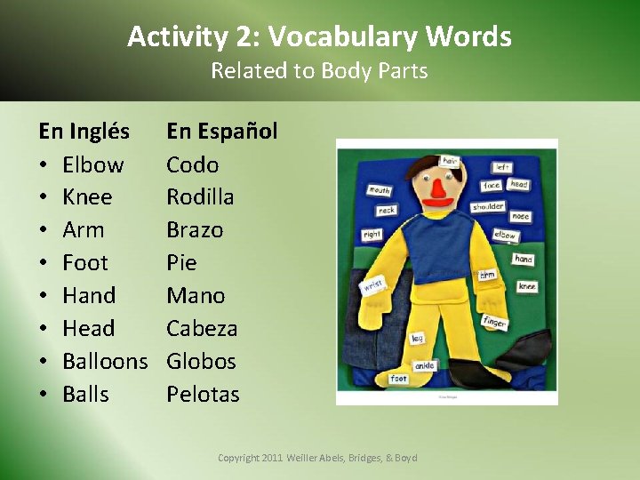 Activity 2: Vocabulary Words Related to Body Parts En Inglés • Elbow • Knee