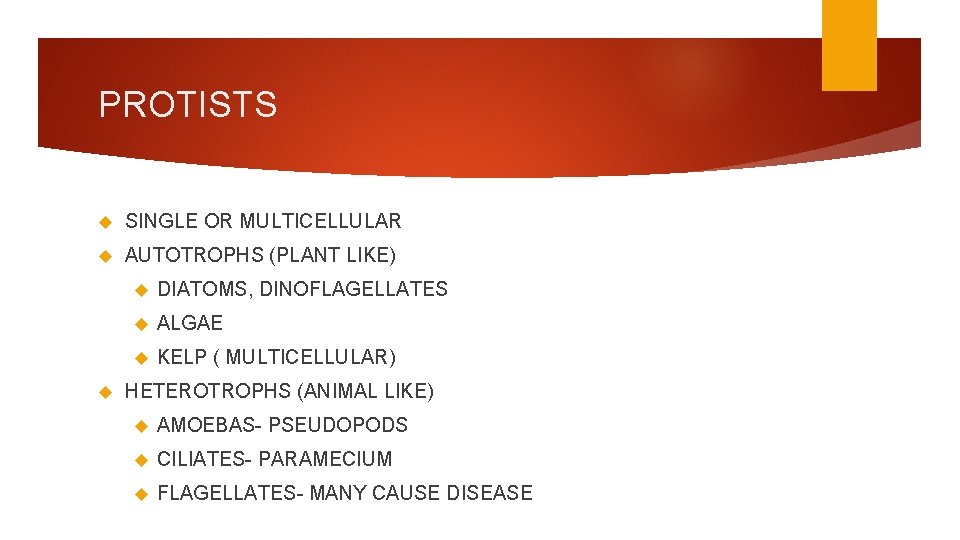 PROTISTS SINGLE OR MULTICELLULAR AUTOTROPHS (PLANT LIKE) DIATOMS, DINOFLAGELLATES ALGAE KELP ( MULTICELLULAR) HETEROTROPHS