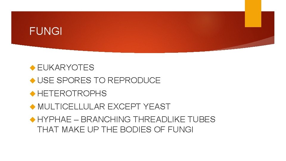 FUNGI EUKARYOTES USE SPORES TO REPRODUCE HETEROTROPHS MULTICELLULAR HYPHAE EXCEPT YEAST – BRANCHING THREADLIKE
