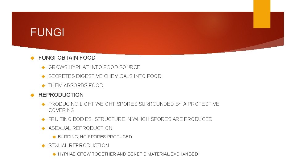 FUNGI OBTAIN FOOD GROWS HYPHAE INTO FOOD SOURCE SECRETES DIGESTIVE CHEMICALS INTO FOOD THEM