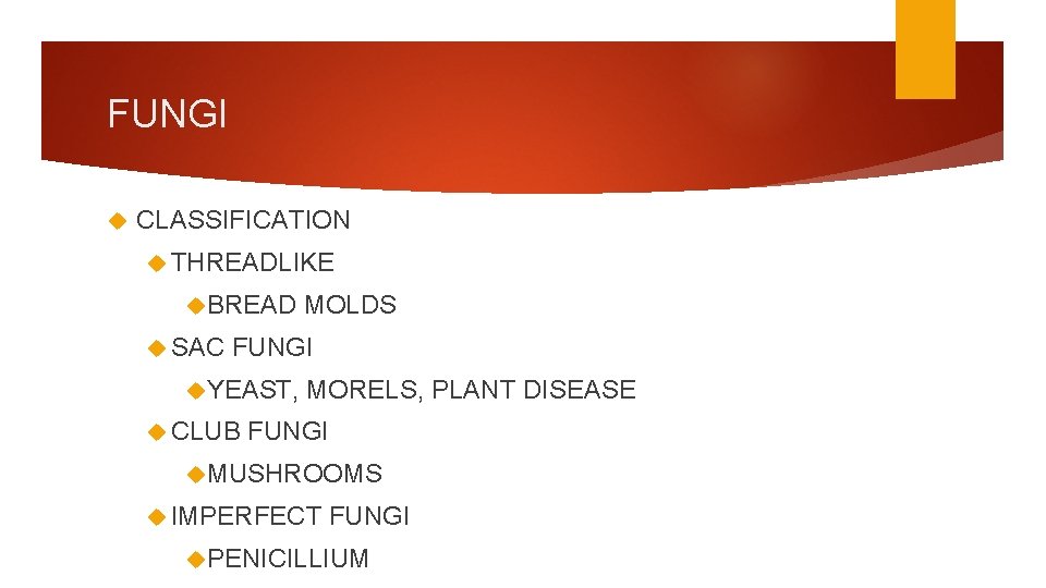FUNGI CLASSIFICATION THREADLIKE BREAD SAC MOLDS FUNGI YEAST, CLUB MORELS, PLANT DISEASE FUNGI MUSHROOMS