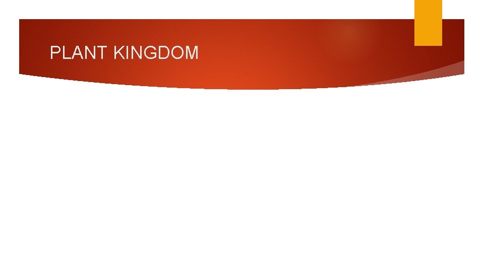 PLANT KINGDOM 
