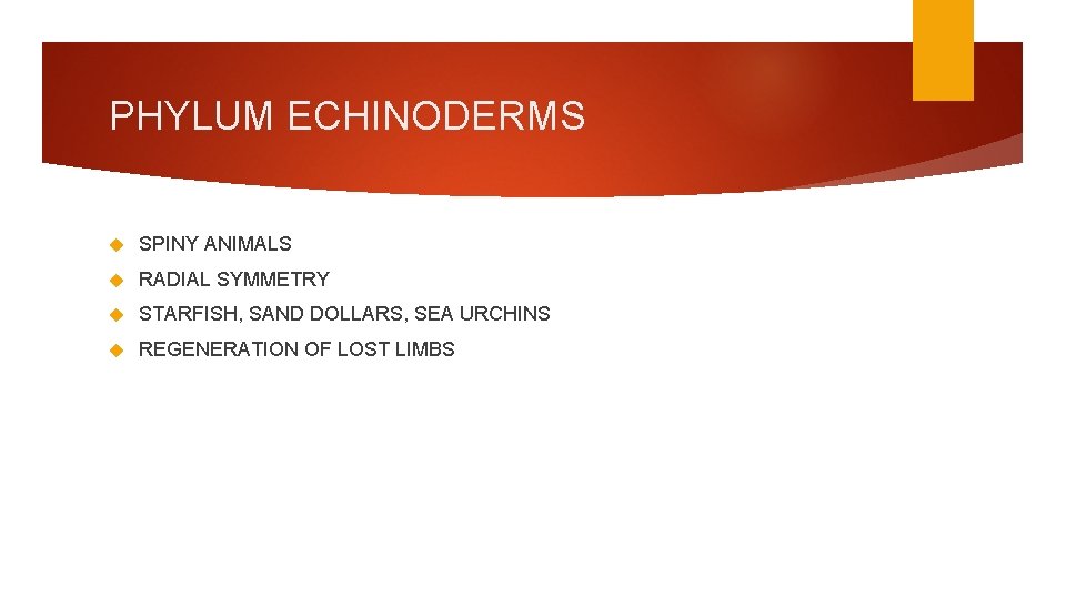 PHYLUM ECHINODERMS SPINY ANIMALS RADIAL SYMMETRY STARFISH, SAND DOLLARS, SEA URCHINS REGENERATION OF LOST
