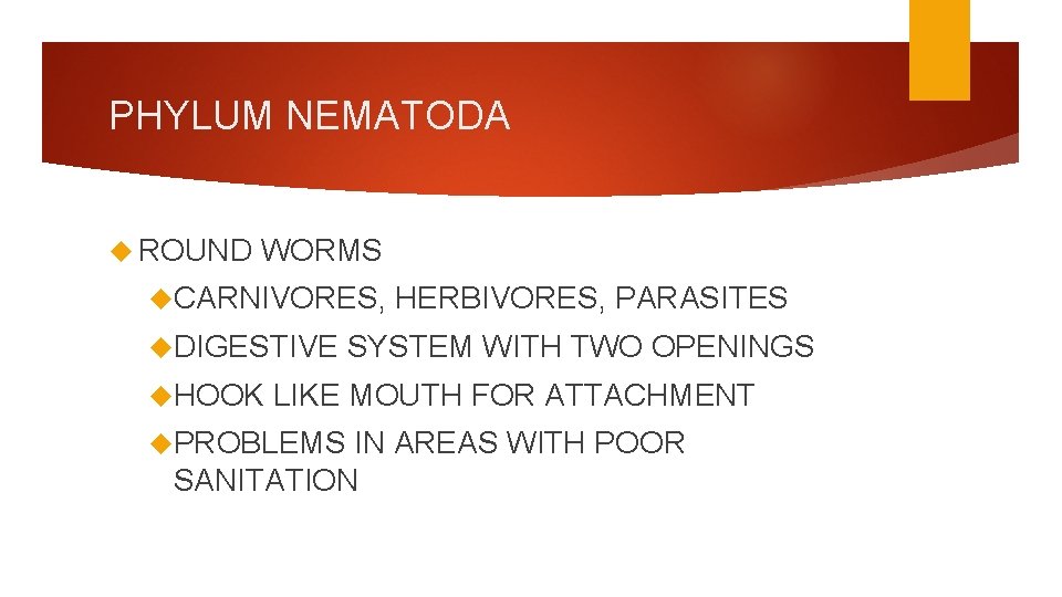 PHYLUM NEMATODA ROUND WORMS CARNIVORES, DIGESTIVE HOOK HERBIVORES, PARASITES SYSTEM WITH TWO OPENINGS LIKE