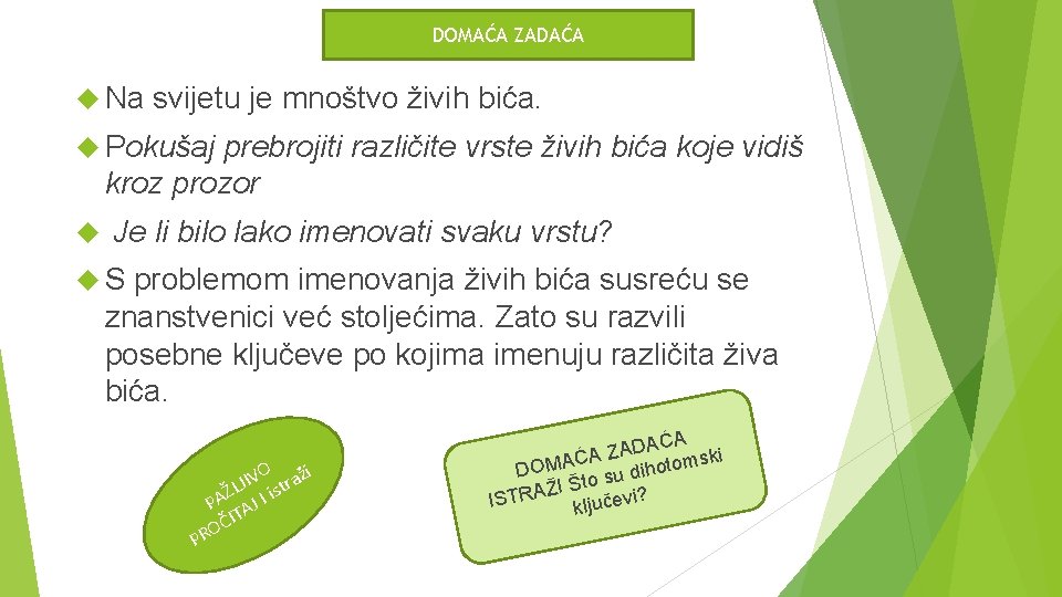 DOMAĆA ZADAĆA Na svijetu je mnoštvo živih bića. Pokušaj prebrojiti različite vrste živih bića