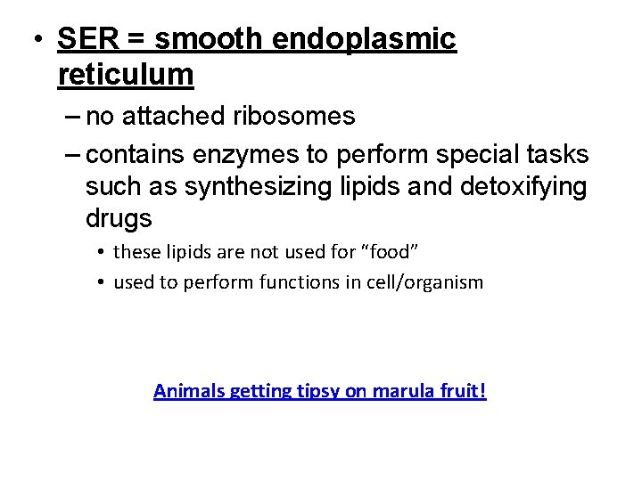  • SER = smooth endoplasmic reticulum – no attached ribosomes – contains enzymes