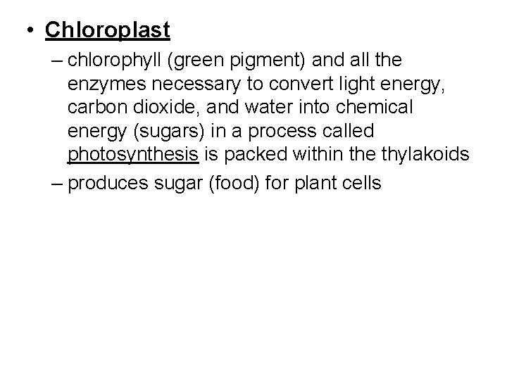  • Chloroplast – chlorophyll (green pigment) and all the enzymes necessary to convert