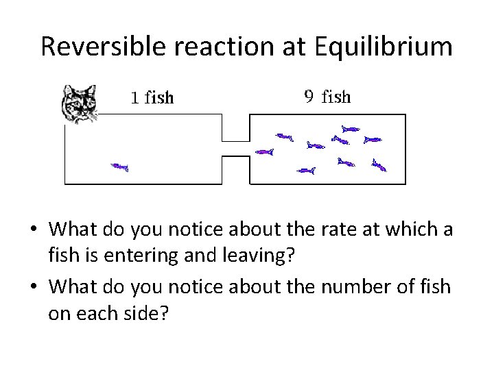 Reversible reaction at Equilibrium • What do you notice about the rate at which