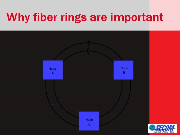 Why fiber rings are important 