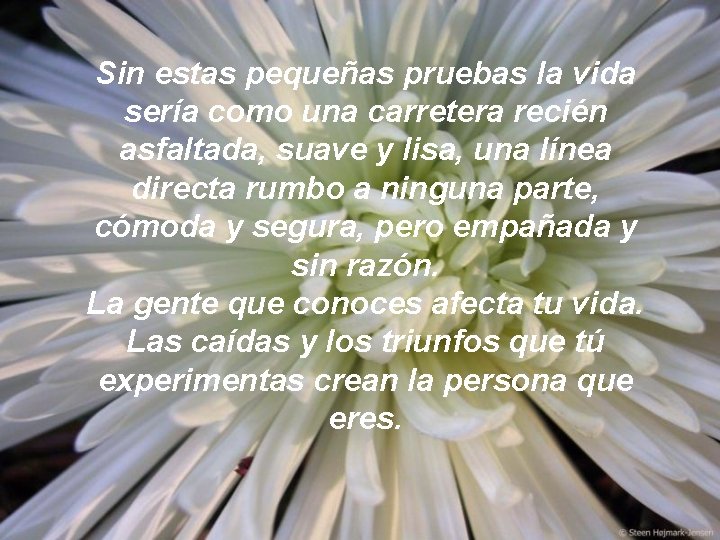 Sin estas pequeñas pruebas la vida sería como una carretera recién asfaltada, suave y